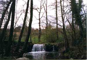 peche