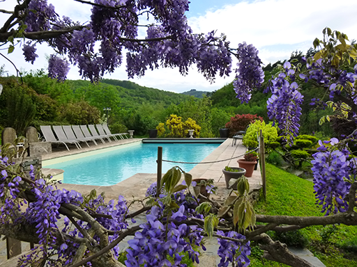 vue de la piscine